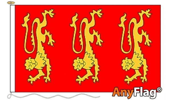 King Richard 1st Custom Printed AnyFlag®